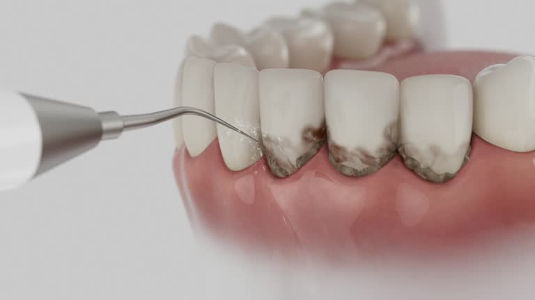 Reliable Dental contractor in Winfield, WV by Dentist Open Now